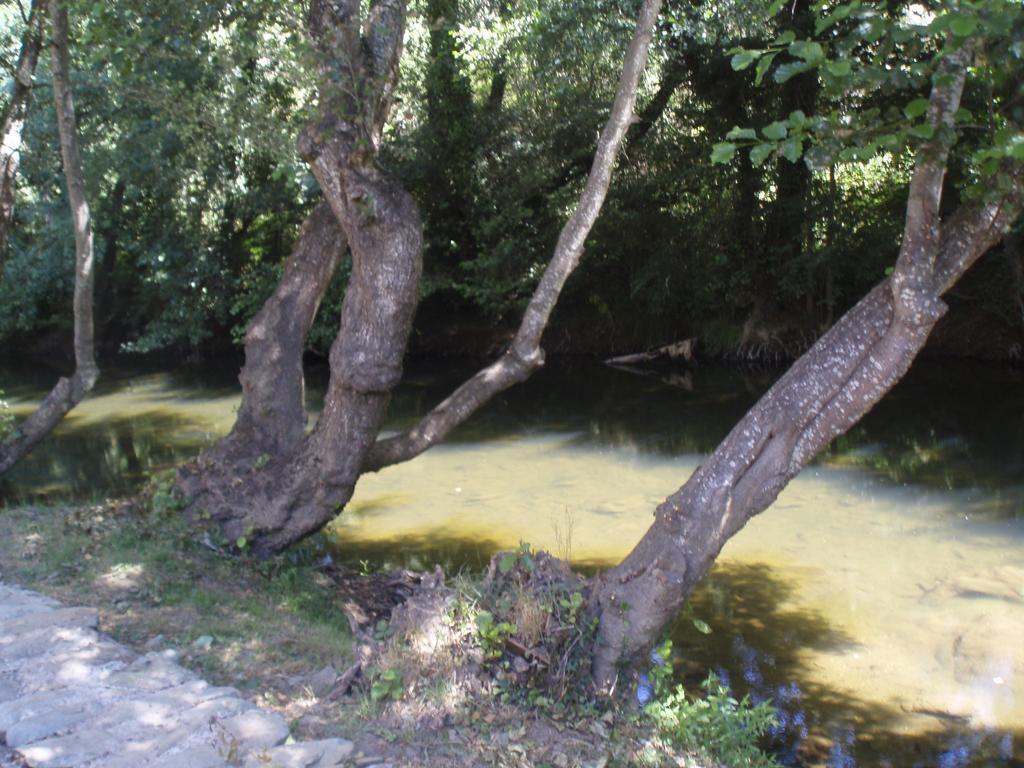 منزل الضيف براغانسا  في Moinho Da Ponte Velha المظهر الخارجي الصورة
